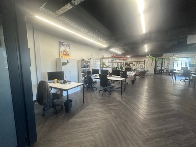 To Let commercial Property for Rent in Zonnebloem Western Cape